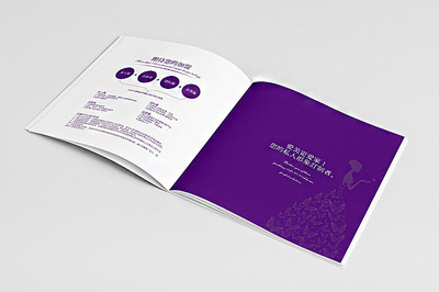 安娜品牌形象色彩 画册设计-深圳市顶点企业形象策划